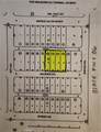 1220 Van Buren St - Photo 1