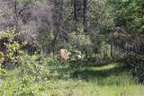 0 Black Bart Road - Photo 10
