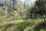 0 Black Bart Road - Photo 12