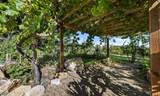 547 Mission Vineyard Road - Photo 12
