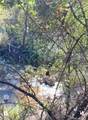 0 Near Maricopa Hwy. - Photo 5