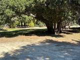 15313 Spunky Canyon Road - Photo 17