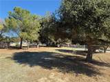 15313 Spunky Canyon Road - Photo 19