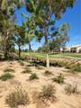 781 Torrey Pines Road - Photo 30