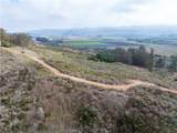 1987 Turri Road - Photo 16