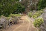 1987 Turri Road - Photo 6