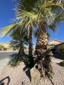 78916 Lavender Circle - Photo 42