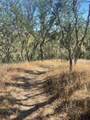 0 Cachagua Road - Photo 5