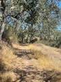 0 Cachagua Road - Photo 6