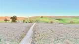 3780 Gillis Canyon Road - Photo 3
