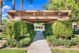 1641 Via Borrego - Photo 72