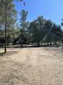 30247 Chihuahua Valley Road - Photo 5