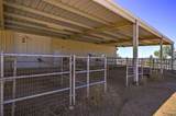 39444 Calle Portillo - Photo 68
