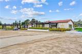 41309 Avenida Biona - Photo 30