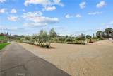 41309 Avenida Biona - Photo 43