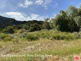 23629 Zuniga Road - Photo 4