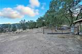 17205 Black Oak Hill - Photo 42