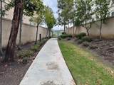 229 Seacountry - Photo 51
