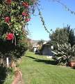 61 Redwood Avenue - Photo 45