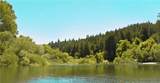 18176 Hwy 116 - Photo 9