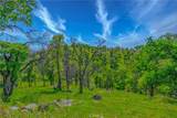 3084 Old Highway - Photo 40