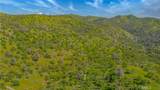 3084 Old Highway - Photo 51