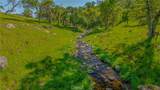 3084 Old Highway - Photo 52