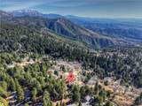 2477 Spring Oak Drive - Photo 49