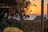 592 Bluebird Canyon Drive - Photo 71
