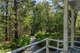 28641 North Shore Road - Photo 66