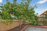 4975 Buttercreek Road - Photo 39