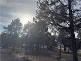 1820 Golden Rod - Photo 11