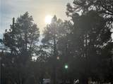 1820 Golden Rod - Photo 12