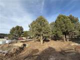 1820 Golden Rod - Photo 13