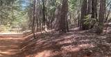 15052 Red Hill Spring Road - Photo 4
