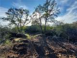 44660 Tortuga Road - Photo 26