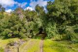 1825 Hi Mountain - Photo 54