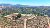 0 El Calamar - Photo 2