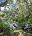 93706 Via Escondido - Photo 9