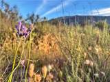 0 Highway 79 - Photo 9