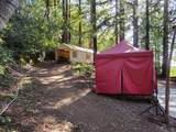  Skyview Ridge Road - Photo 14