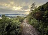  Skyview Ridge Road - Photo 37