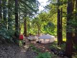  Skyview Ridge Road - Photo 8