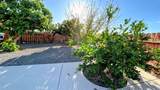 27542 Calle Ganado - Photo 27