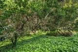 1255 Tuolumne Road - Photo 40
