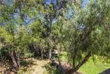 115 Sierra Vista Drive - Photo 53