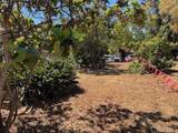 3328 Roosevelt Street - Photo 47