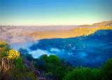 2 High Bluff - Photo 42