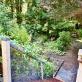 33100 Frog Pond Road - Photo 42