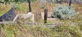 130 Canfield Drive - Photo 25